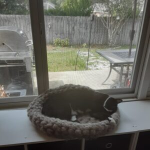 wool roving cat bed